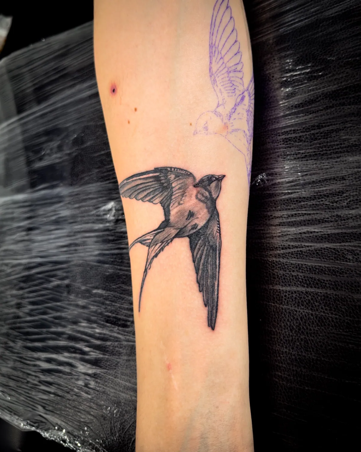Tattoo-Arbeit aus dem Portfolio von Gianni Ink Tattoo Freiburg